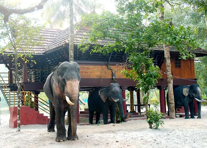 Elephant Courtyard- A Heritage Homestay