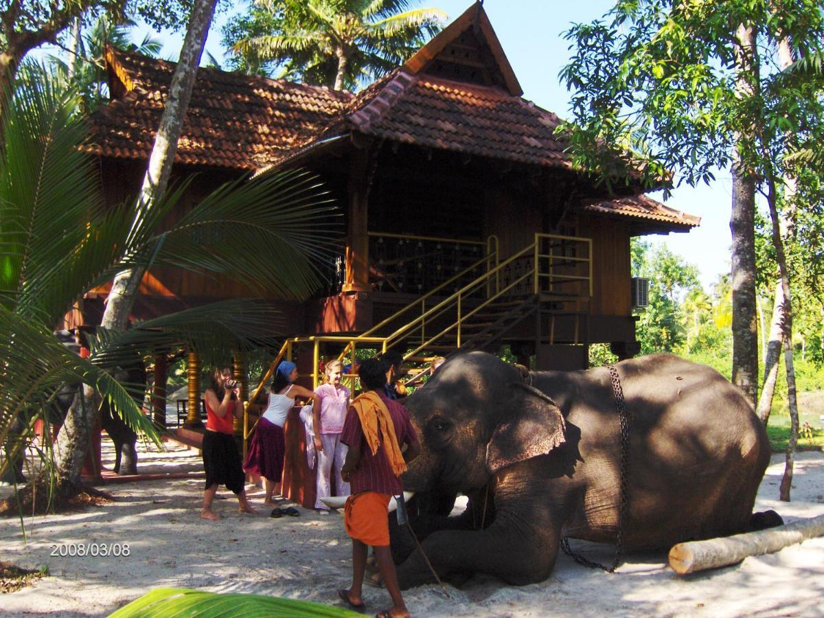 Elephant Courtyard- A Heritage Homestay