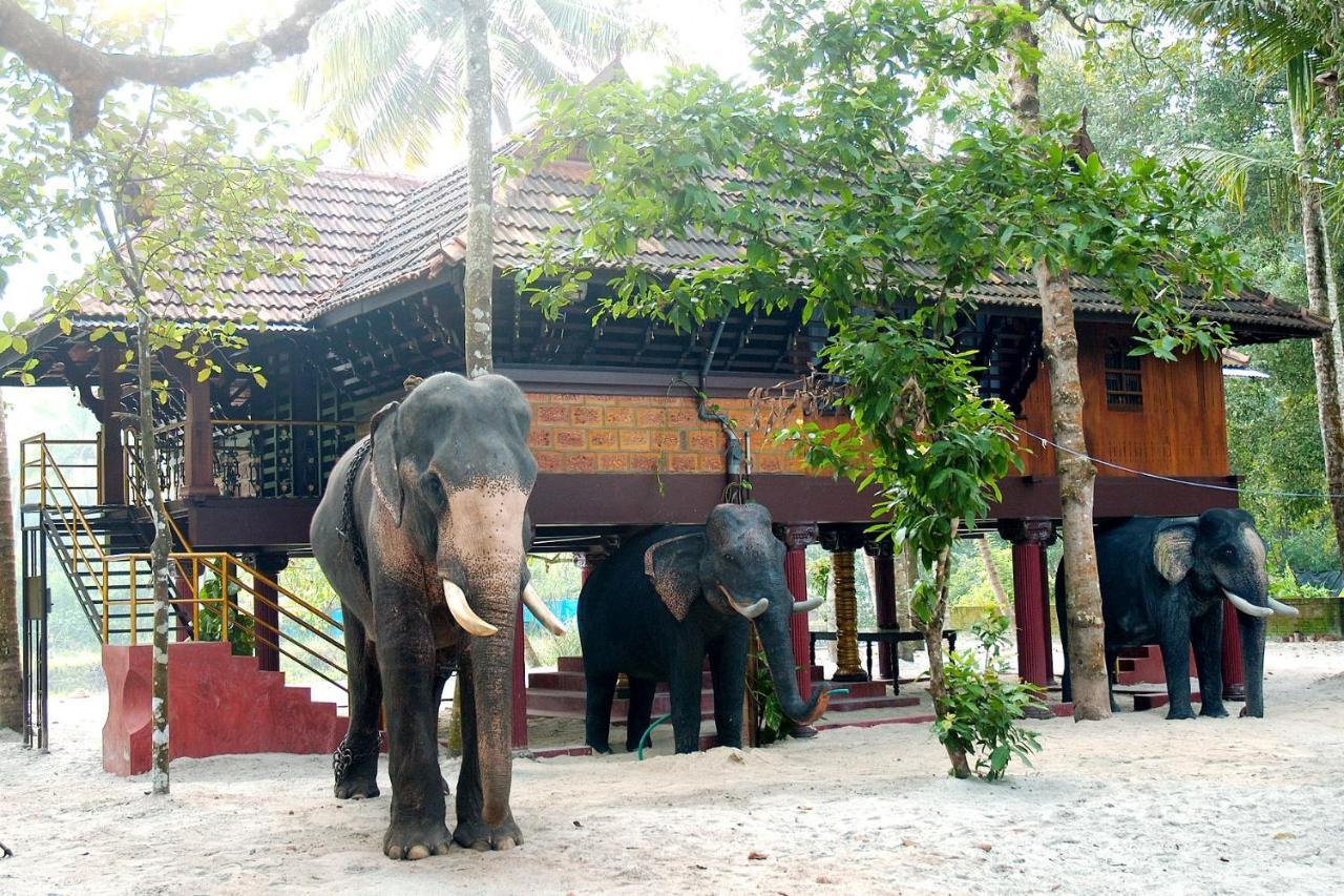 Elephant Courtyard- A Heritage * Alappuzha
